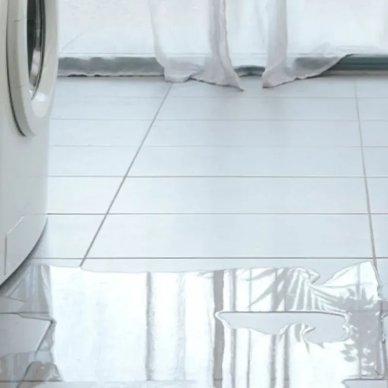 Appliance Leak Cleanup in Arlington, WA