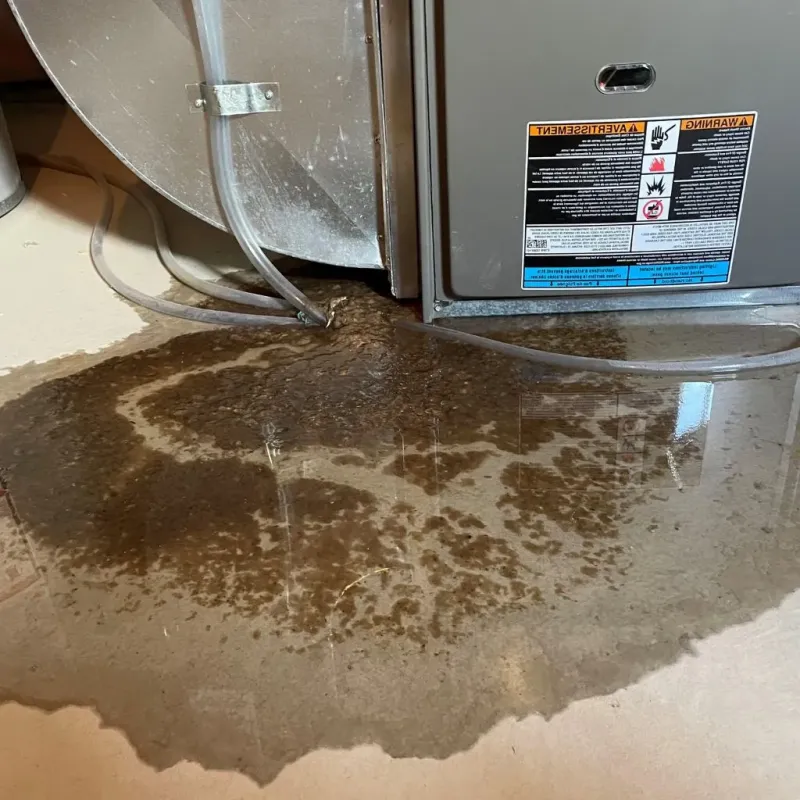 Pipe Burst and Leak Restoration in Arlington, WA